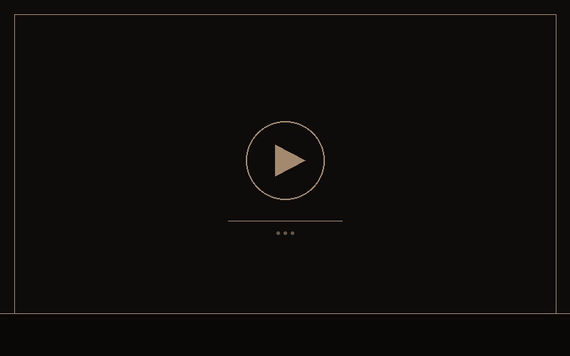 StoneLinked Videomontage - professionele herinneringsvideo